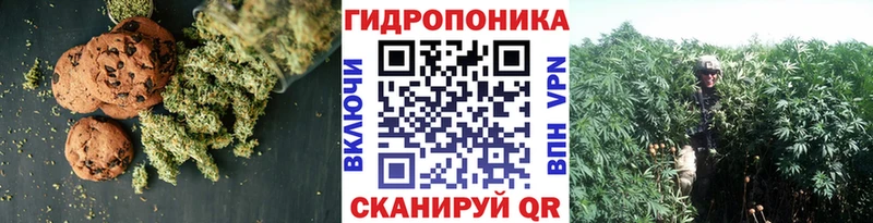 наркота  Пионерский  Canna-Cookies марихуана 