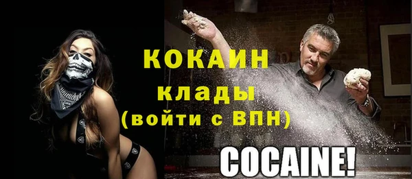винт Нея
