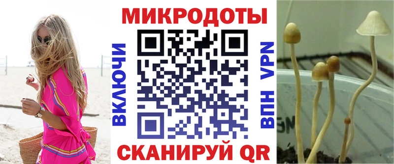Галлюциногенные грибы GOLDEN TEACHER  сайты даркнета состав  Пионерский 